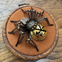Image 1 of Jingle spider (b, 3.5 inches)