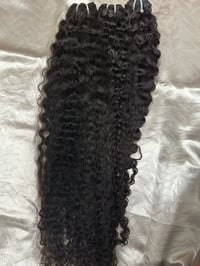 Image 4 of Burmese Curly 