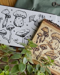 Image 2 of a sketchbook of poisonous mushrooms