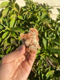 Image 2 of Aragonite Cluster