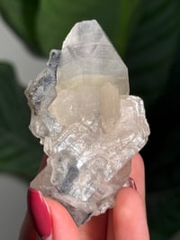 Image 3 of BOWTIE STILBITE X DIAMOND APOPHYLITE -INDIA- F
