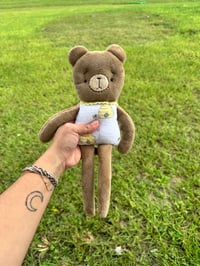 Image 1 of Honey Bear