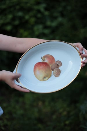 Image of Schale, mit Goldrand und Obst-Bemalung