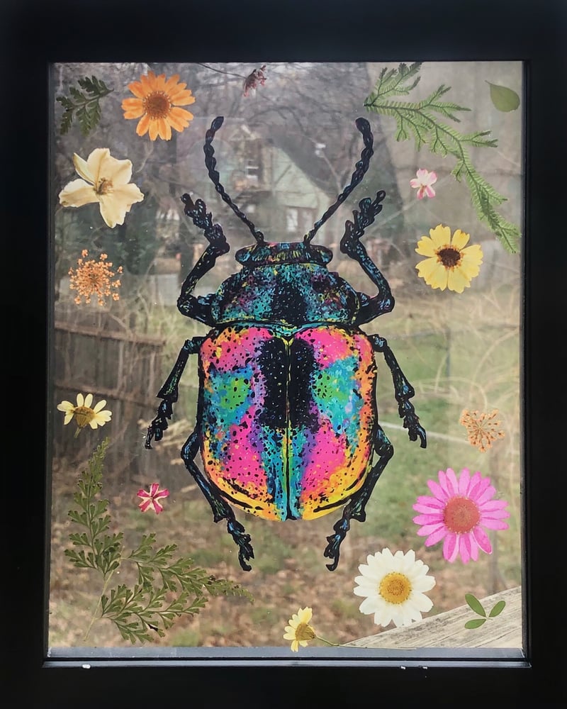 Image of Vegan Taxidermy - Beetle