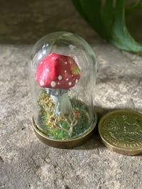 Image 2 of Mintaure Magic fly agaric mushroom in a glass dome 