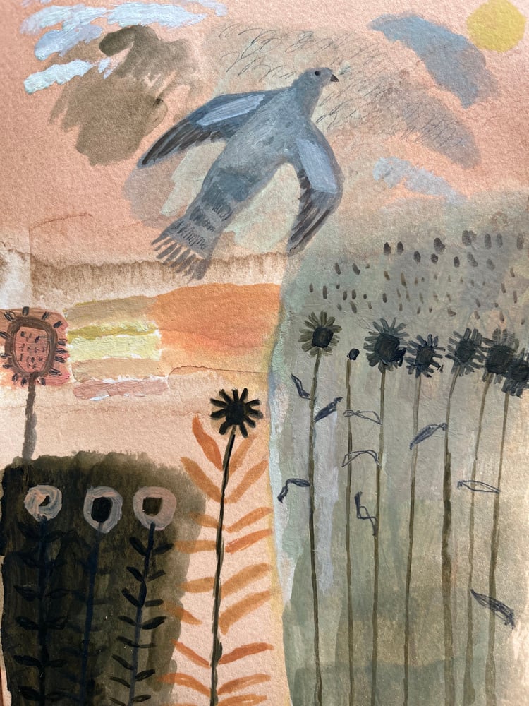 Image of Pigeon in a winter garden 