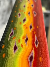 Image 8 of Brook Trout by Mikie