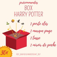 PRÉCO BOX HARRY POTTER 