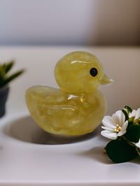 Image 4 of Set of 3 Natural Crystals in Resin OlllllO Ducks Ceramic Coated with Ducking Cards 'Lucky Ducks'