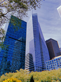 Image 2 of CONCRETE JUNGLE