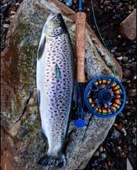 Image 4 of Sculpin Braun Olive & Orange Braun