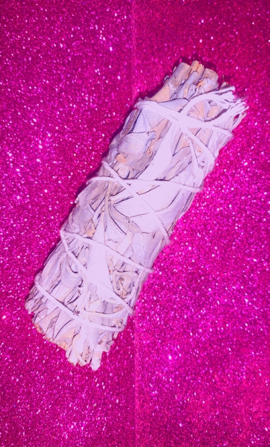 Image of 4inch “White” sage!