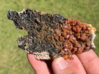 Image 9 of Vanadinite On Black Barite Specimen #2121