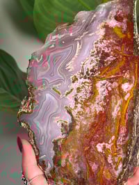 Image 2 of AGUA NUEVA AGATE SLAB C