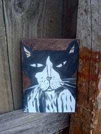 Image 6 of Tuxedo Cat 