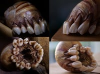Image 17 of Dental Snull sculpture- blonde bone color, OOAK