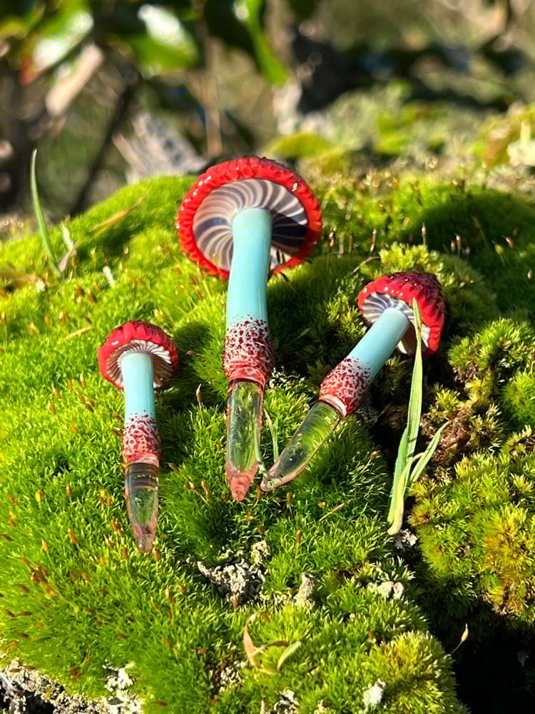 Image of 3 Red & Teal Mushroom Plant Spikes