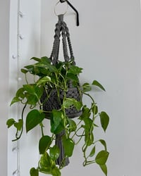 Image 1 of Basket Hanger 