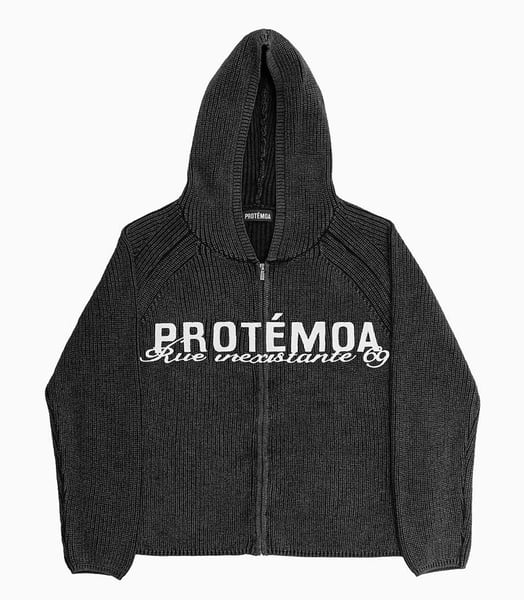 Image of PROTÉMOA - Human Matching Hoodie