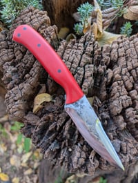 Image 1 of COMPANION #2