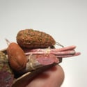 Miniature meat 1:12 scale