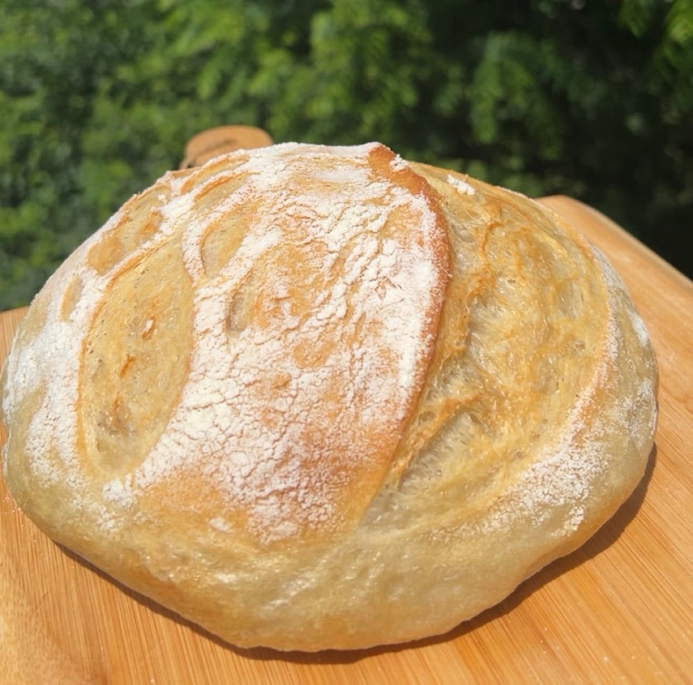 Image of Organic olive oil & sea salt loaf