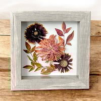 Image 2 of Zinnia, Indian Blanket And Obsession Nandina Wildflower Art In 6" X 6" Shadow Box (Item# 202203S)