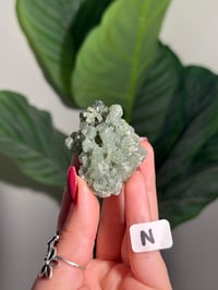Image 14 of CHOOSE YOUR OWN BOWTIE PREHNITE -INDIA-