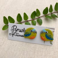 Orange-bellied Parrot Studs