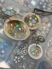 Image 3 of Swirly Shells