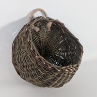 Image 3 of Hanging Basket by Petals and Pots