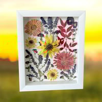Image 1 of Zinnia, Sunflower, Lavender, Veronica & Nandina Wildflower Art in 8”x10” Shadow Box (202302LS)