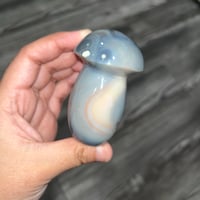 Image 3 of Orca Agate Mushroom B