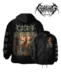 Image 2 of Cerebral Effusion