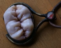 Image 1 of Demons Wisdom Tooth Pendant - glow in the dark brimstone, OOAK