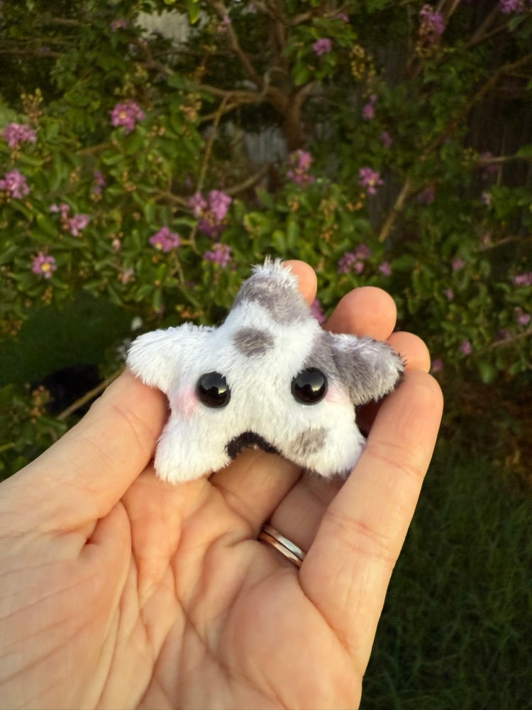 Image of Tiny star cow print 1