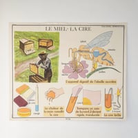 Image 13 of Grandes affiches scolaires anciennes