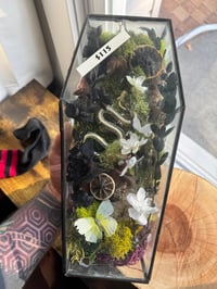 Image 3 of Snake Coffin Terrarium