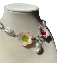 Image 2 of Lucky Orchards