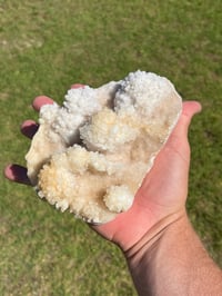 Image 11 of Calcite Crystal Reef Formation Specimen #1242