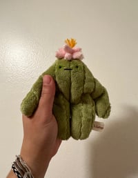 Mini Cactus Bloog