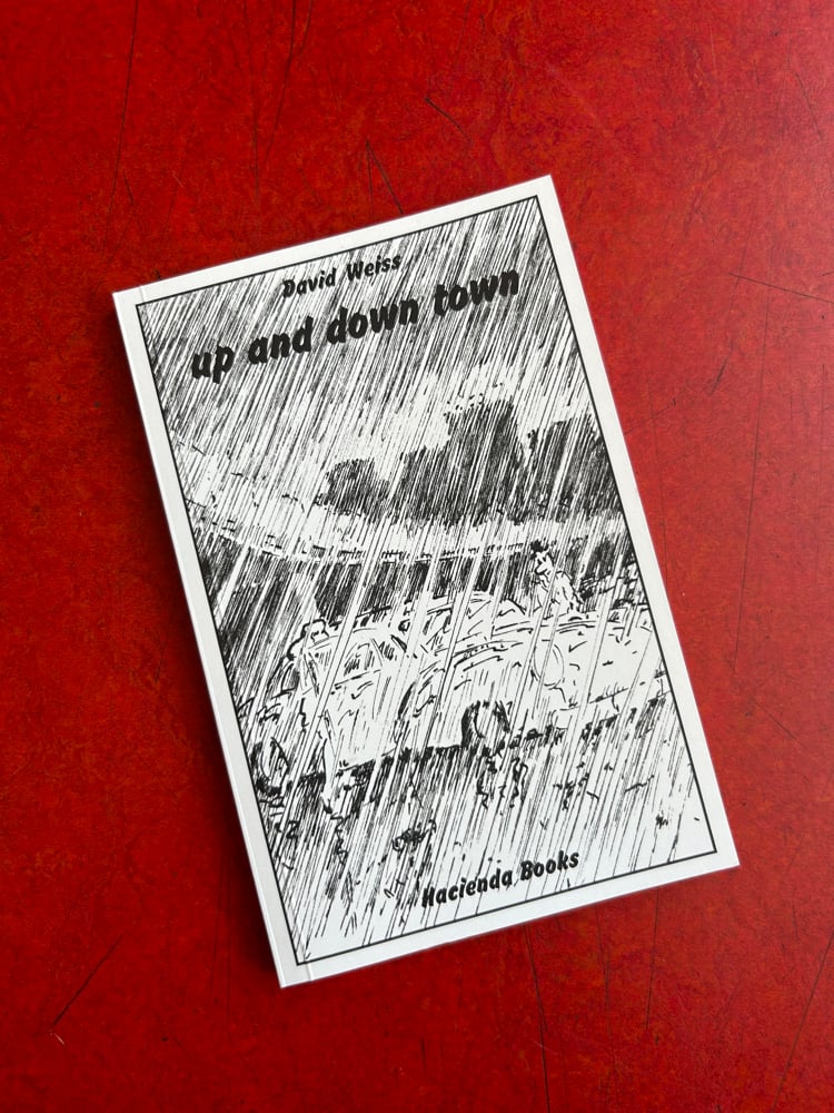 Image of UP AND DOWN TOWN by DAVID WEISS