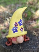 Image 2 of Buttercup Gnome
