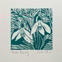 Image 1 of Winter Beauty