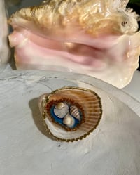 Image 2 of Cockle Clam Shell Trinket Dish CT102