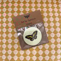 Image 4 of Moth & Butterfly Magnets & (other designs available)