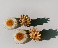 Image 2 of Sun Daisy Studs 