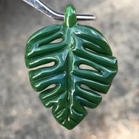 Image 1 of Green Monstera Leaf