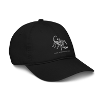 Image 2 of Dark Scorpion Records Hat