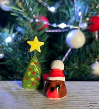 Image 11 of Mini Robins